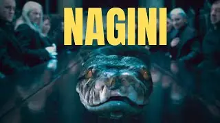 How Nagini Met Voldemort Explained | Harry Potter