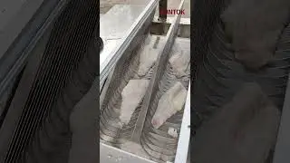 Sea ​​bass fish slicer machine  #fishslice#fishprocessing #slicingmachine
