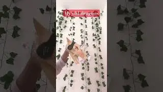 😭 #paper #dragon #puppet #aesthetic #drawing #creative #trend #viral #art #blowup #gore #cute #sub