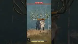 A MAGN&Iacute;FICA COR&Ccedil;A DE CERINEIA DE ASSASSIN'S CREED ODYSSEY (PS5 GAMEPLAY) #Shorts #acodyssey #ps5