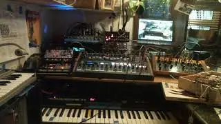 wire2501...Minibrute 2s, Crave, Boss DM2W Volca Drum & Modular SQ1 Microkorg Mosky Reverb Tape Loops