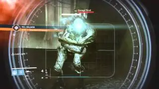 Balwur 300 CoO Solo