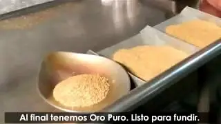 VÍDEO FLUJOGRAMA DE PLANTA TÍPICA PARA ORO ALUVIAL