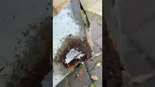 How to change a box gutter