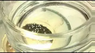 Ohio State's Mysterious Laboratory