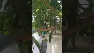 Ketangkap basah lagi mesum😅😅😅