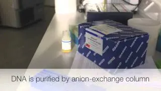 Gel Purifying DNA fragments