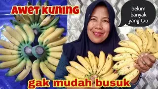TIPS AGAR BUAH PISANG TAHAN LAMA DAN AWET SECARA ALAMI
