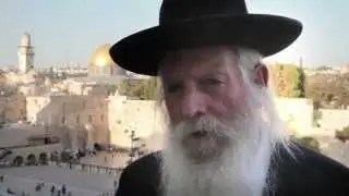Jewish Unity - Lulav