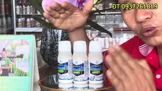 Movento thuốc đặc trị rệp s&aacute;p lưu dẫn 2 chiều#caytrong#thuocbvtv#nongdan# TUẤN HẰNG 3