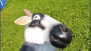 PENGUIN DOFFEN LIMITED COMPANY FOR SNOFO MONTHS 