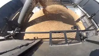 2012 Kulhanek Harvest