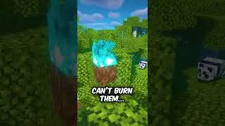 😲AWESOME USE OF BLUE FIRE IN MINECRAFT! | PETROVSKIY SHORTS