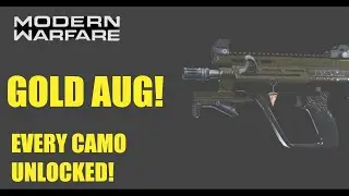 MODERN WARFARE GOLD AUG! EVERY CAMO UNLOCKED