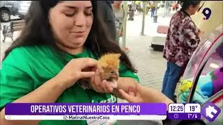 Operativos veterinarios en Penco
