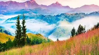 New English Ringtone 2019 - oh Allah - Best Islamic Ringtone