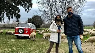 Dos en la carretera - Colmenar Viejo (04-12-2021)