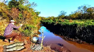 PESCARIA DE JUNDI&Aacute; EM VALA DE ARROZ, S&Oacute; DEU BITELO|PESCA NO RIO GRANDE DO SUL