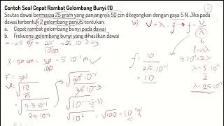 Media3