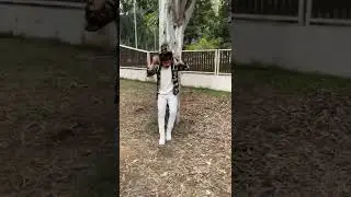 Perfect Pose With Tree 🎄 #shorts #tree