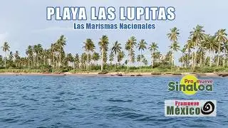 Ruta  Mazatlán Teacapán, y las hermosas Marismas Nacionales 4to. punto RAMSAR del Mundo.