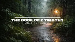 The Book of 2 TIMOTHY (Full Audio Bible with Rain Sounds) | For Sleep, Study & Prayer