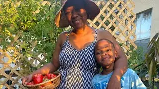 April Garden Tour #zone11 #gardening #diymom #homegarden