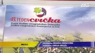 Globoke korenine cvička