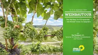 Der Weinbau im Klimawandel - mit Winzer*innen im Gespr&auml;ch | Weinbautour 2020 - MdL Paul Knoblach