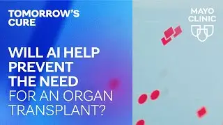 Will AI help prevent the need for an organ transplant? | Tomorrow's Cure Clip