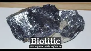 What is Biotitic? | How Does Biotitic Look? | How to Say Biotitic in English?