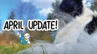 Spring Update & Self Care Activity (April Membership)