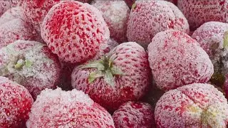 Town Hall: Calls for the USDA to help local growers hurt by the May freeze