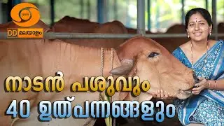 നാടൻപശുക്കളും 40 ഉത്പന്നങ്ങളും #krishidarshan#ddmalayalam#dairyfarming