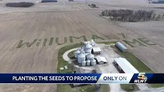 Planting a proposal: Farmer plants 'WILL U MARRY ME?' in grain crop