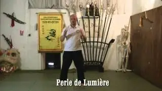 QI GONG - Les Cinq Mouvements