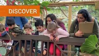 Step into a world of wonder at The Living Rainforest
