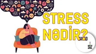 Stress nədir?