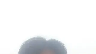 SDTB.LanimalTD