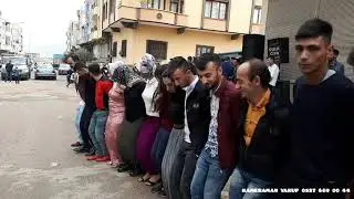 Koma gula çiya KAMERAMAN YAKUP 0537 669b00 44