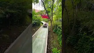 🐯🤘 #waterride #ride #chessington #ukdaysout #travek #youtubeshorts #shorts #sub #viral #thrillride