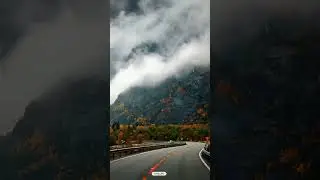 Ye dil jo barso se 🦋💕💫 ||Ghar kab aaoge|| Border 2 #natureaesthetic #ytshorts #india #proud