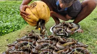 Amazing Fish Trapping System. Village Boy build Easy Trap For Fishing In Beautiful Nature #fishing