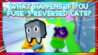 What Happens If You Fuse 3 Reversed Cats?
