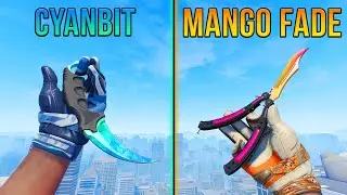 The BEST Rare Pattern Glove Knife Combos in CS2