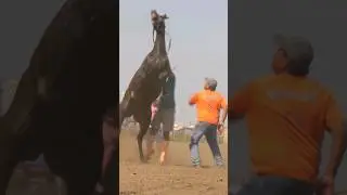 America's first extreme sport. Indian Relay Race 2.9.2024