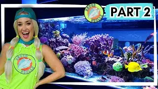 Coral Reefs and FUN Science! | Super Shellz for KIDS