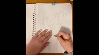 Easy Way to Transfer a Picture to Watercolor Paper Using Tracing Paper Technique