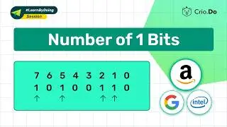 Counting the Number of 1 Bits | Java | Master DSA Interview Questions