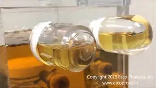 New & Improved 3-D BullsEye